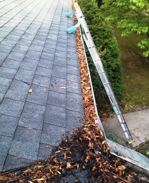 Gutter cleaning service